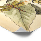 libellen met bladeren en vruchten poster (Hoek)