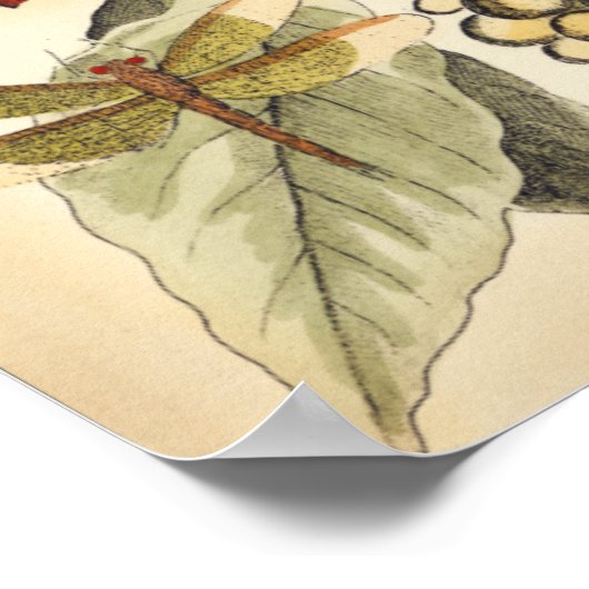 libellen met bladeren en vruchten poster (Hoek)