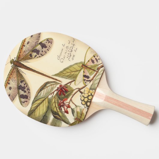 libellen met bladeren en vruchten tafeltennisbatje (Zijkant)