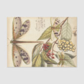 libellen met bladeren en vruchten tissuepapier (Voorkant)