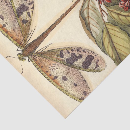 libellen met bladeren en vruchten tissuepapier (Detail)