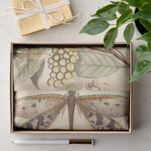 libellen met bladeren en vruchten tissuepapier (Geschenk)