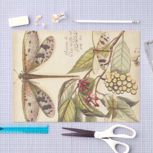 libellen met bladeren en vruchten tissuepapier (Craft)