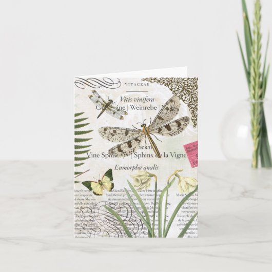  libellen notecard kaart (Voorkant)