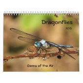 libellen - Pareltjes van de agenda Air 2013 Kalender (Hoes)