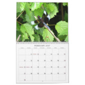 libellen - Pareltjes van de agenda Air 2013 Kalender (Feb 2027)
