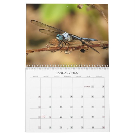 libellen - Pareltjes van de agenda Air 2013 Kalender (Jan 2027)