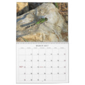 libellen - Pareltjes van de agenda Air 2013 Kalender (Mar 2027)