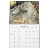 libellen - Pareltjes van de agenda Air 2013 Kalender (Mar 2026)