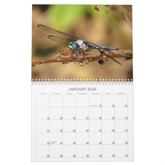 libellen - Pareltjes van de agenda Air 2013 Kalender (Jan 2026)