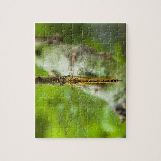 libellen - puzzels (Verticaal)