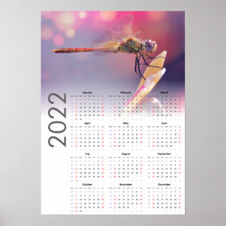 Libellenkalender 2022 Poster - zondag begint