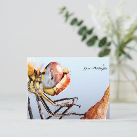 Libellule de Pourrières Briefkaart (Staand voorkant)