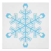 Liberal Snowflake Protest Sign of Poster (Voorkant)