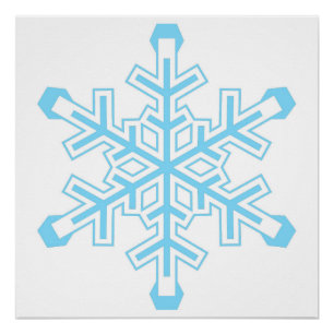 Liberal Snowflake Protest Sign of Poster
