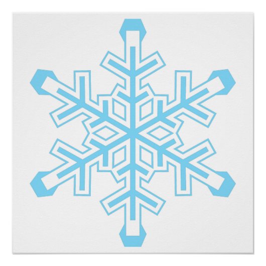 Liberal Snowflake Protest Sign of Poster (Voorkant)