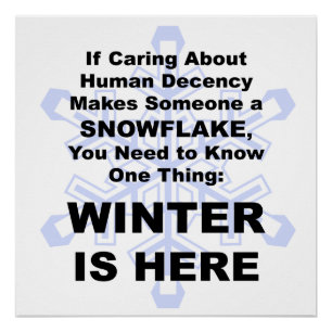 Liberale Snowflakes, Winter is hier Poster
