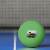 Libertad/Liberdade/Freedom Pingpongbal (Net)