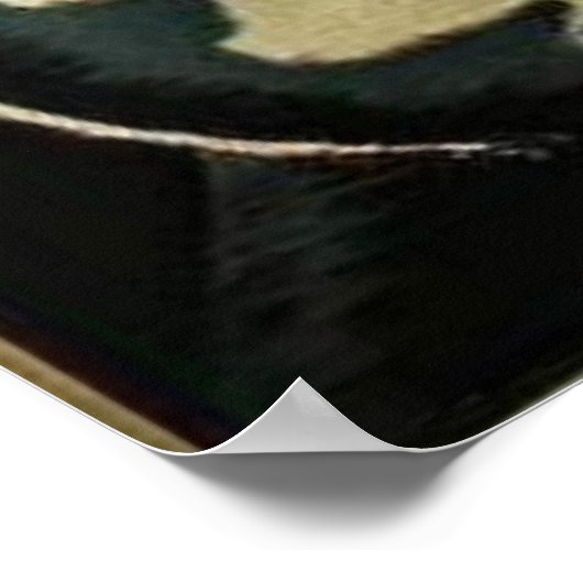 Libertat! kartel (poster) poster (Hoek)