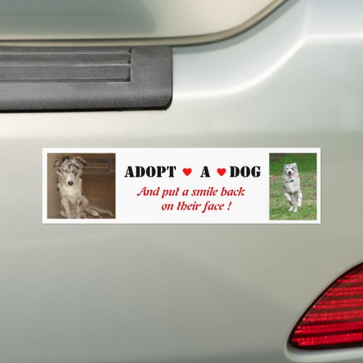 Liberty adopteert een Bumpersticker (Op auto)