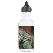 Liberty Bottle met kleurrijke Iguana hagedis Waterfles (Rechts)