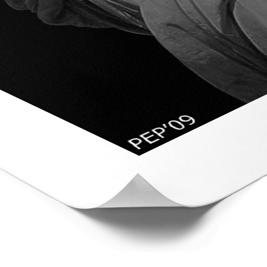 Liberty Declared Poster (Hoek)