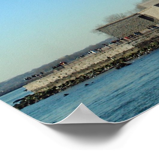 Liberty Island Poster (Hoek)