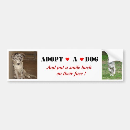 Liberty Kies een hond Bumper Sticker (Voorkant)