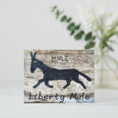 Liberty Mule, Liberty, TN Briefkaart (Staand voorkant)