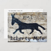Liberty Mule, Liberty, TN Briefkaart (Voorkant / Achterkant)