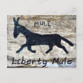 Liberty Mule, Liberty, TN Briefkaart (Voorkant)