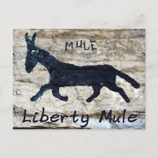 Liberty Mule, Liberty, TN Briefkaart (Voorkant)