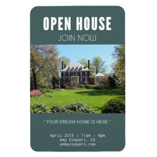 Liberty's Torch schijnt op (3" x 4" magneet) Magneet