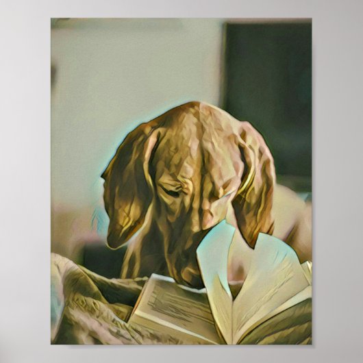 Librarian verjaardagscadeau poster (Voorkant)