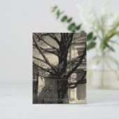 Library, Branford, Ct Postcard Briefkaart (Staand voorkant)