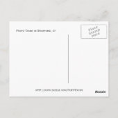 Library, Branford, Ct Postcard Briefkaart (Achterkant)