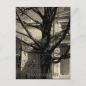 Library, Branford, Ct Postcard Briefkaart (Voorkant)