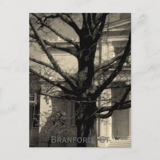 Library, Branford, Ct Postcard Briefkaart (Voorkant)