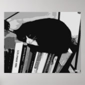 Library Cat Poster (Voorkant)