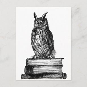 Library Owl Briefkaart