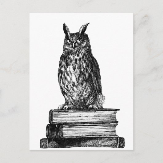 Library Owl Briefkaart (Voorkant)