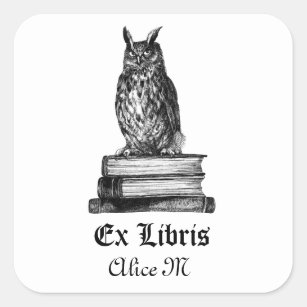 Library Owl ex libris Vierkante Sticker