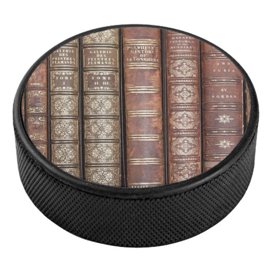 Library Shelf Hockey Puck (3/4)