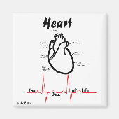 Lichaamsdelen — Menselijk hart Magneet (Voorkant)