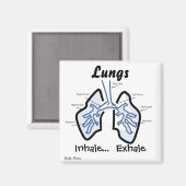 Lichaamsdelen — Menselijke longen Magneet (Voorkant / Achterkant)