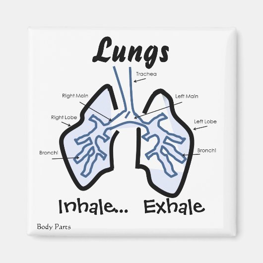 Lichaamsdelen — Menselijke longen Magneet (Voorkant)