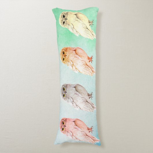 Lichaamsloods 4 verschillende uilen lichaamskussen (Voorkant Verticaal)