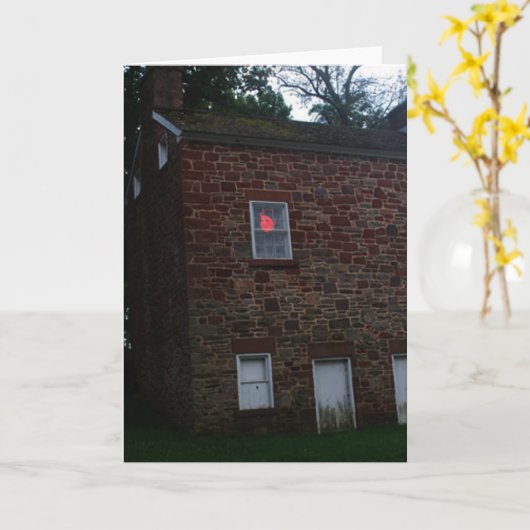 lichaamsloze verschijning kaart (Gele Bloem)