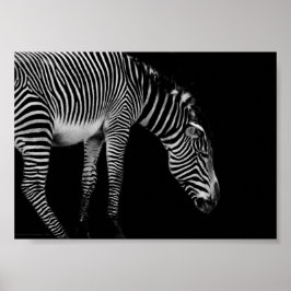 Lichaamstaal afdruk poster
