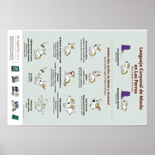 Lichaamstaal voor angst in het Poster Honden (Spaa